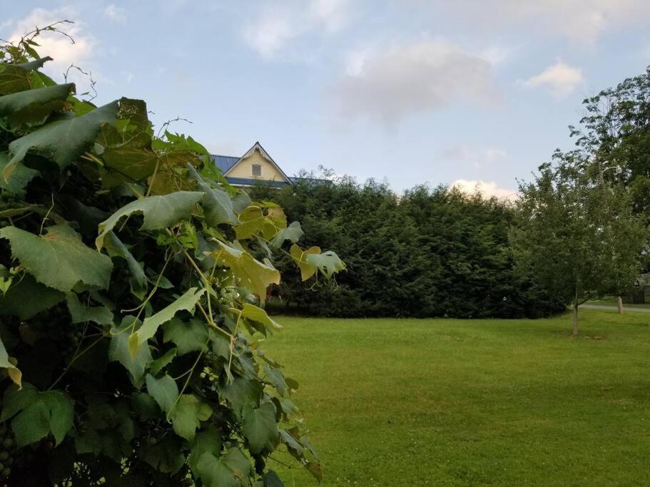 Basecampwv-Durbin. Spacious 4 Bedroom House W/Yard Eksteriør bilde